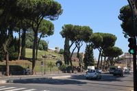 Forum Romano (Coloseum)Rom 2020 Cavid19 jahr (24)